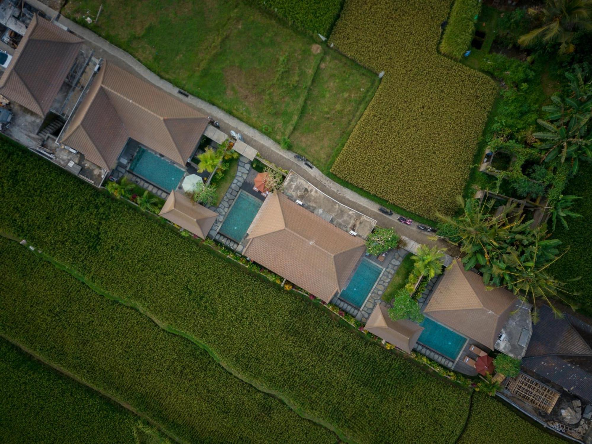 Happy Honeymoon Private Villa Ubud  Luaran gambar