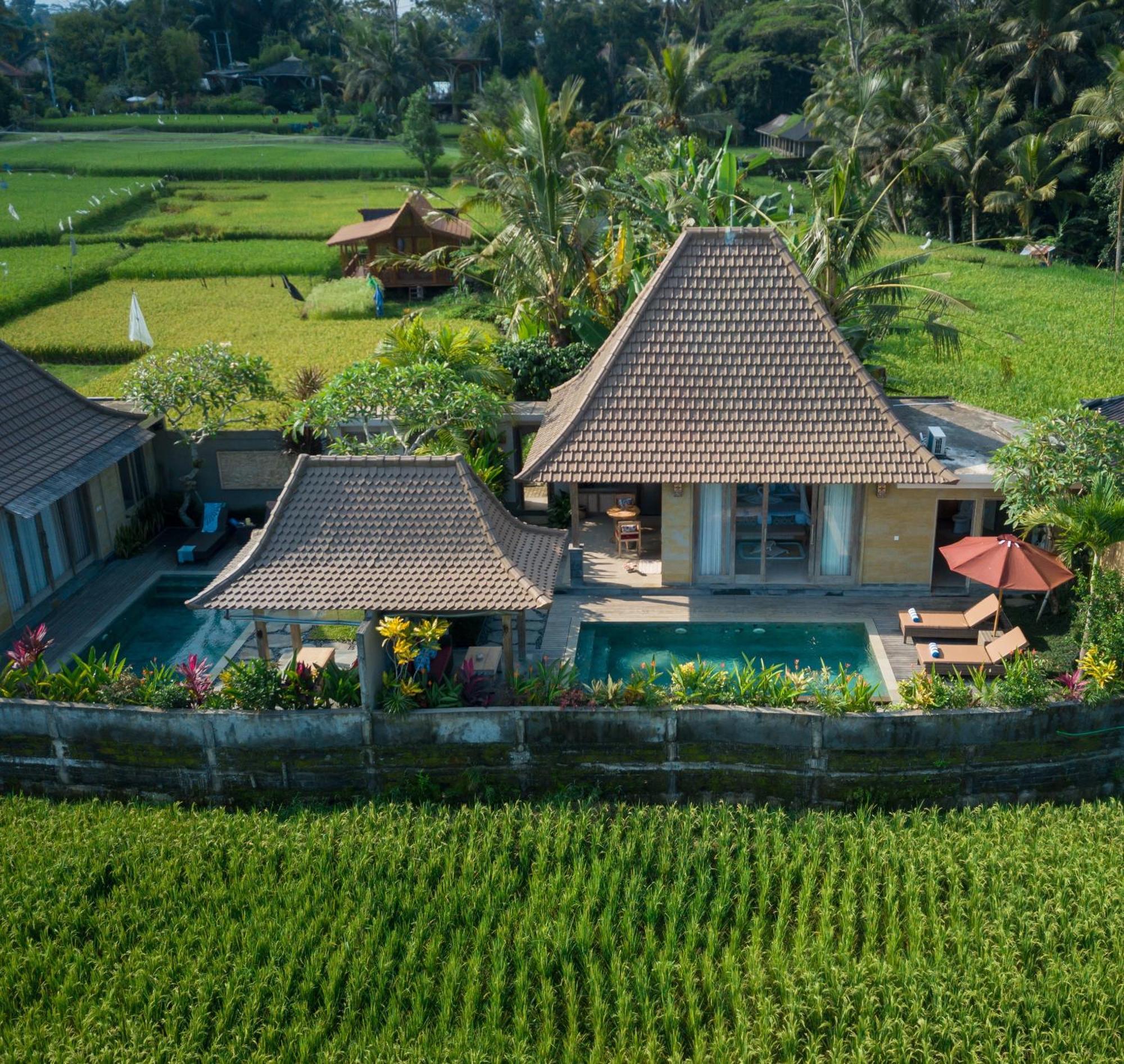 Happy Honeymoon Private Villa Ubud  Luaran gambar